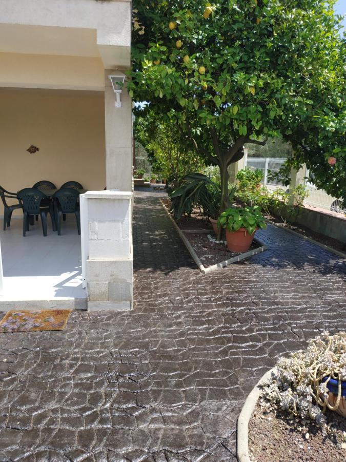 Les Oliveres De L'Emporda Bellcaire d'Emporda Bagian luar foto
